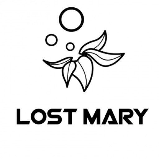 Lost Mary 5000